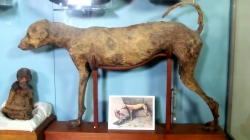 سفر با بچه مسافرتی ها - آفریقا - مصر